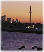 A beautiful sunrise over the astonishing CN Tower